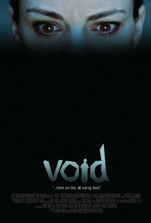 Void (2009) постер